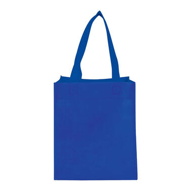https://doieur1arw9xr.cloudfront.net/optamark/images/opt/products_gallery_images/Basic-Grocery-Tote-Bag14_01445917202301.jpg?v=737