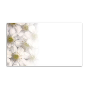 https://doieur1arw9xr.cloudfront.net/optamark/images/opt/products_gallery_images/Business-Card-Magnet-3.jpg?v=737