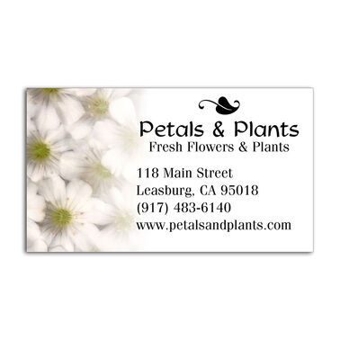 https://doieur1arw9xr.cloudfront.net/optamark/images/opt/products_gallery_images/Business-Card-Magnet-7.jpg?v=737