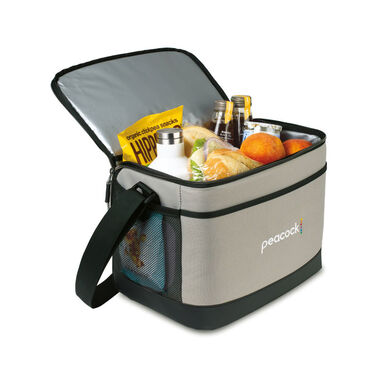 https://doieur1arw9xr.cloudfront.net/optamark/images/opt/products_gallery_images/Goodwin-Deluxe-Box-Cooler---Medium-Grey1.jpg?v=6402