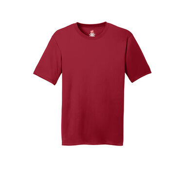 https://doieur1arw9xr.cloudfront.net/optamark/images/opt/products_gallery_images/Hanes_-Cool-Dri_-Performance-T-Shirt8_02324806202209.jpg?v=9906