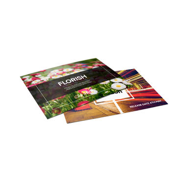 https://doieur1arw9xr.cloudfront.net/optamark/images/opt/products_gallery_images/Metallic-Postcards-1_10360631202305.jpg?v=8435
