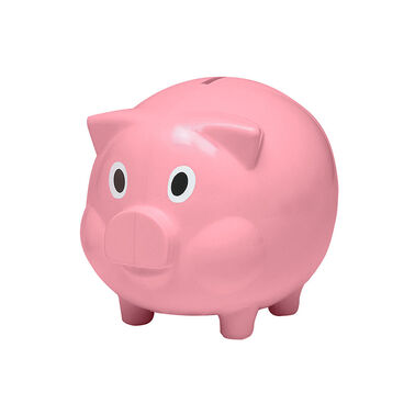 https://doieur1arw9xr.cloudfront.net/optamark/images/opt/products_gallery_images/Plastic-Piggy-Bank1.jpg?v=6076