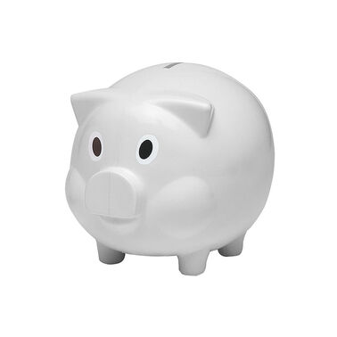 https://doieur1arw9xr.cloudfront.net/optamark/images/opt/products_gallery_images/Plastic-Piggy-Bank8.jpg?v=6076