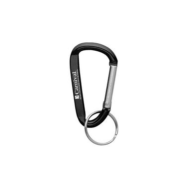 https://doieur1arw9xr.cloudfront.net/optamark/images/opt/products_gallery_images/Small-Carabiner-Key-Ring191.jpg?v=8193